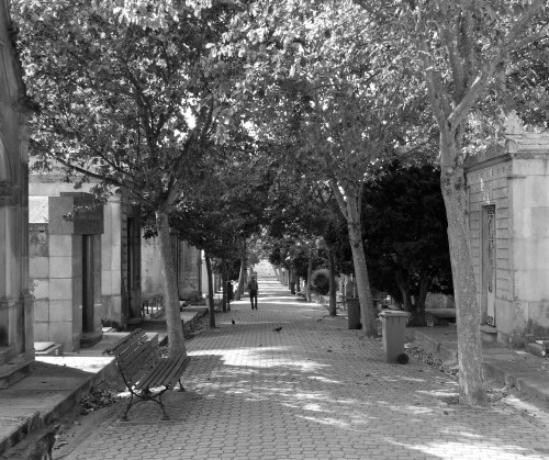Black and white photograph of a path lined with mausoleums in Cemitério de Agramonte by Gillian Hebblewhite 2018 ©